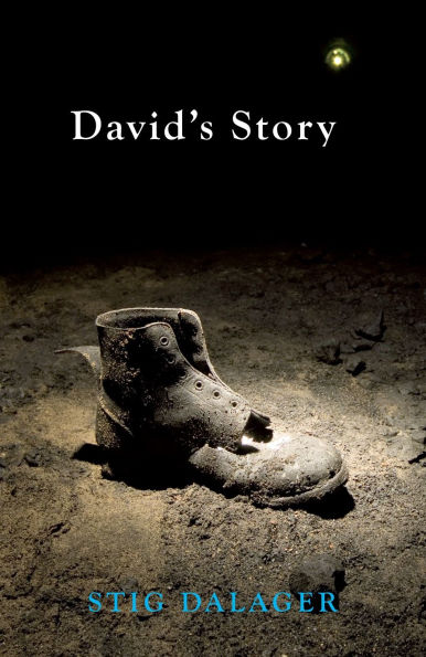 David's Story