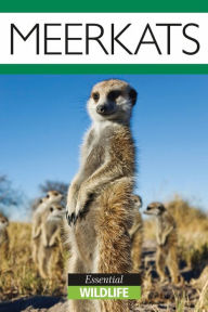 Title: Meerkats: Essential Wildlife, Author: Lisa Hughes