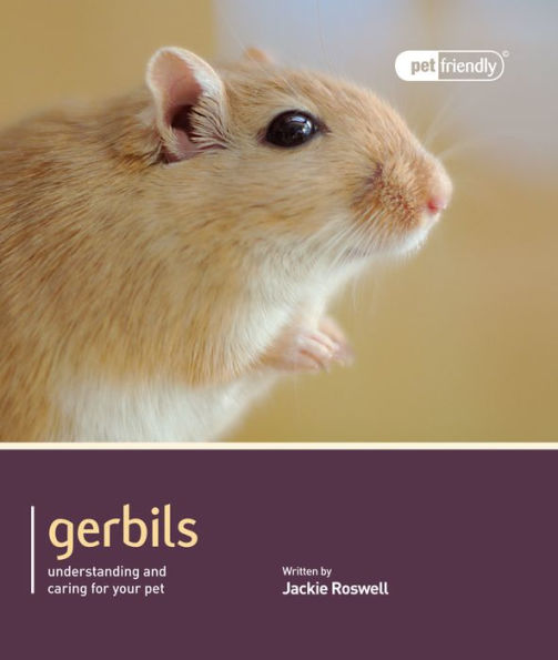 Gerbils: Understanding and Caring for Your Pet