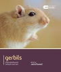 Gerbils: Understanding and Caring for Your Pet