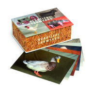 Beautiful Farmyard
