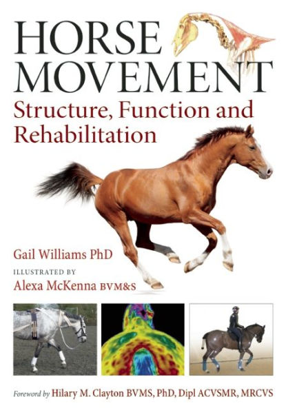 Horse Movement: Structure, Function and Rehabilitation