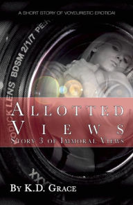 Allotted Views: A short story of voyeuristic erotica