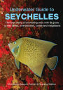 Underwater Seychelles