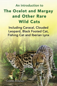 Title: An introduction to The Ocelot and Margay and Other Rare Wild Cats Including Caracal, Clouded Leopard, Black Footed Cat, Fishing Cat and Iberian Lynx, Author: Colette Anderson