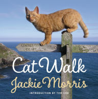 Title: Cat Walk, Author: Jackie Morris