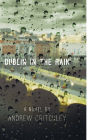 Dublin in the Rain