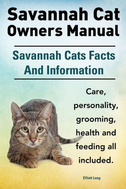 facts about cat owners