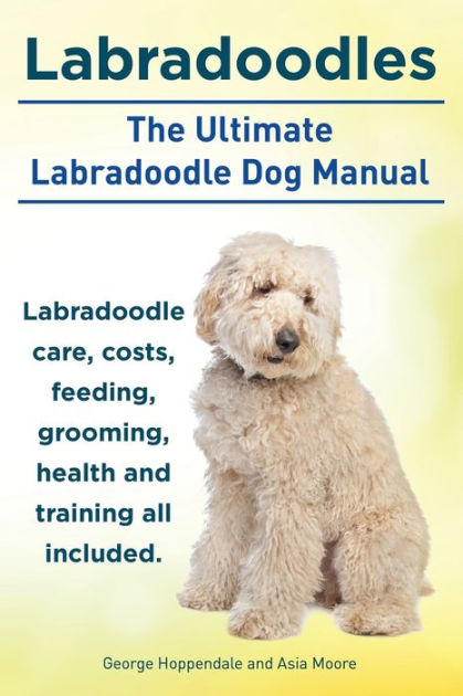 labradoodle care