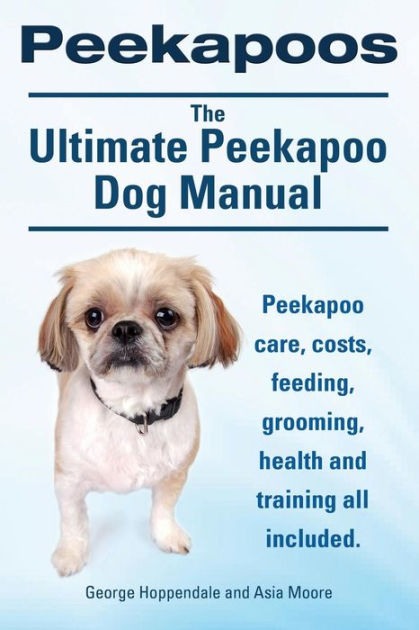 what pekeapoo is right for me