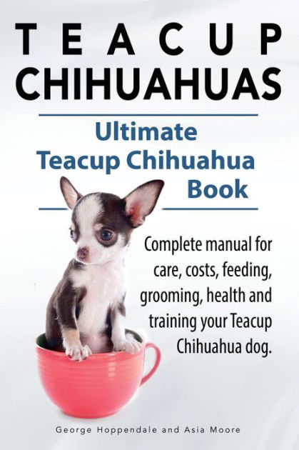 do teacup chihuahuas have health problems