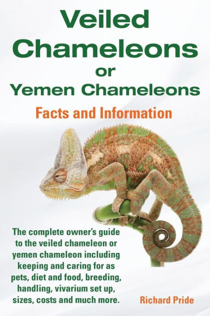 Veiled Chameleon Care Guide