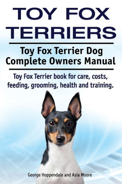 how much does a toy fox terrier puppy cost