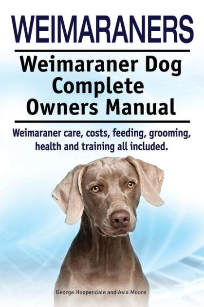 Weimaraner puppy shop feeding and care