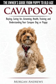 Title: Cavapoos - The Owner's Guide From Puppy To Old Age - Buying, Caring for, Grooming, Health, Training and Understanding Your Cavapoo Dog or Puppy, Author: Morgan Andrews