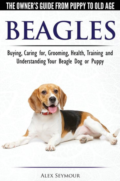 Northern California beagle breeder - Van-Mar Beagles - United States