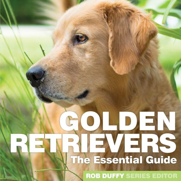 Golden Retrievers The Essential Guide by Robert Duffy, Paperback