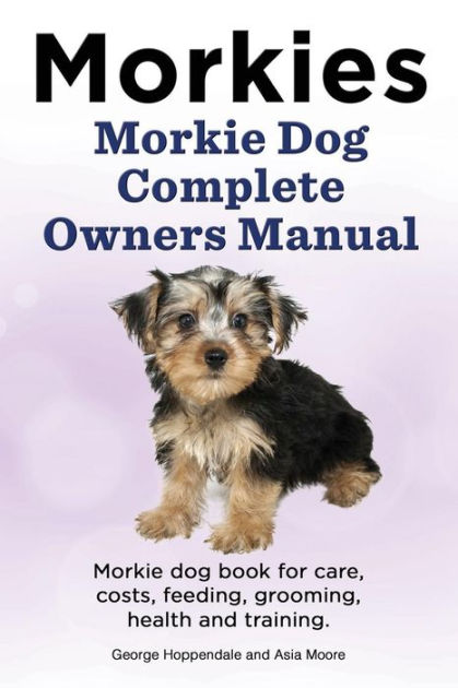 Morkie store feeding guide