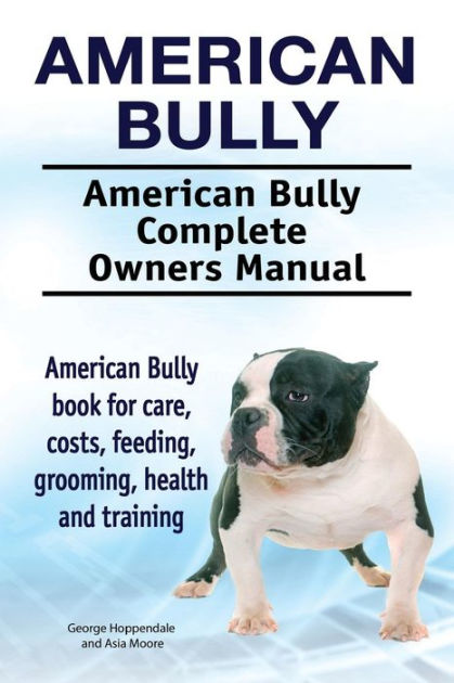 How to Care for an American Bully Dog