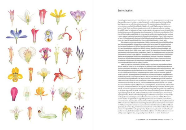 Plants from the Woods and Forests of Chile