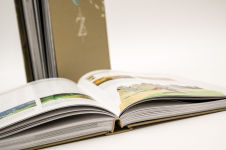 Alternative view 19 of The Legend of Zelda: Breath of the Wild The Complete Official Guide: -Expanded Edition