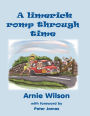 A Limerick Romp Through Time