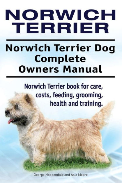 how much does norwich terrier cost