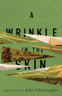 A Wrinkle in the Skin