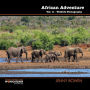 African Adventure