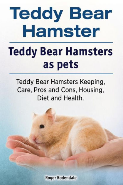 All About Syrian Teddy Bear Hamster, House, Care, Toy, Feeding & Lifespan