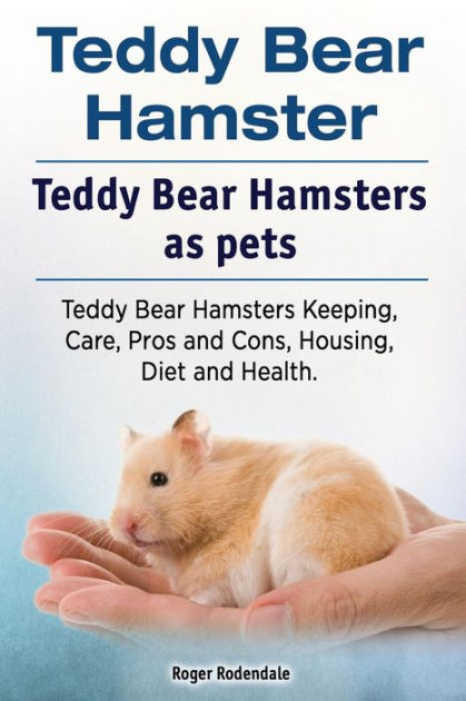 Teddy bear 2025 hamsters near me