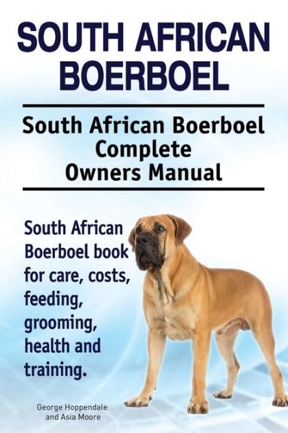 Black 2024 boerboel temperament