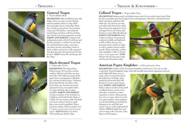 A Naturalist's Guide to the Birds of Costa Rica