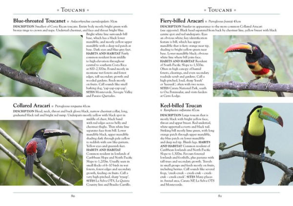 A Naturalist's Guide to the Birds of Costa Rica