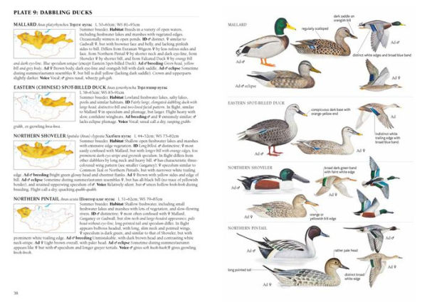 A Field Guide to the Birds of Mongolia