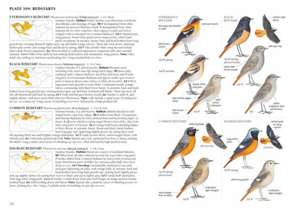 A Field Guide to the Birds of Mongolia
