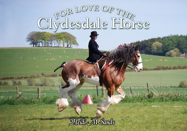 For Love of the Clydesdale Horse