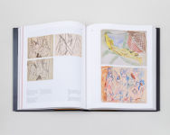 Alternative view 2 of Picasso and Paper