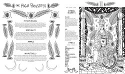 Alternative view 15 of The Luna Sol: Healing Through Tarot Guidebook