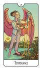 Alternative view 20 of This Might Hurt Tarot Deck