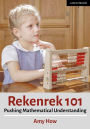 Rekenrek 101: Pushing Mathematical Understanding