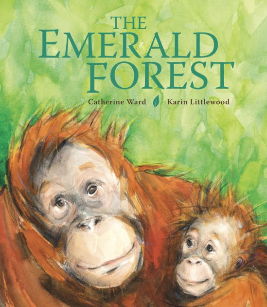 The Emerald Forest by Catherine Ward, Karin Littlewood, Hardcover