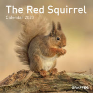 Free ebooks torrents downloads The Red Squirrel Calendar 2020 English version  9781913134167