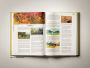 Alternative view 6 of The Legend of ZeldaT: Tears of the Kingdom - The Complete Official Guide: Collector's Edition