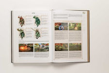 Alternative view 7 of Legend of Zelda: Tears of the Kingdom - The Complete Official Guide: Standard Edition