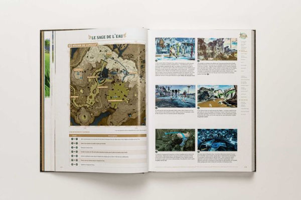 Titre: The Legend of ZeldaT: Tears of the Kingdom - Le Guide Officiel Complet: Édition Collector