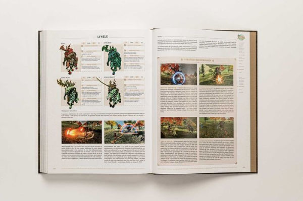 Titre: The Legend of ZeldaT: Tears of the Kingdom - Le Guide Officiel Complet: Édition Collector