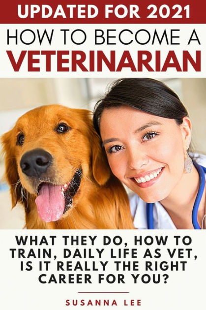 How To Become A Veterinarian: What They Do, How To Train, Daily Life As ...