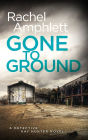 Gone to Ground (Detective Kay Hunter Series #6)