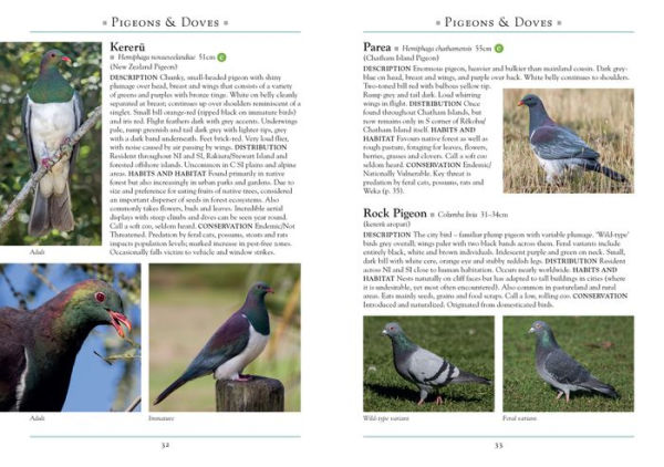 A Naturalist's Guide to the Birds of New Zealand